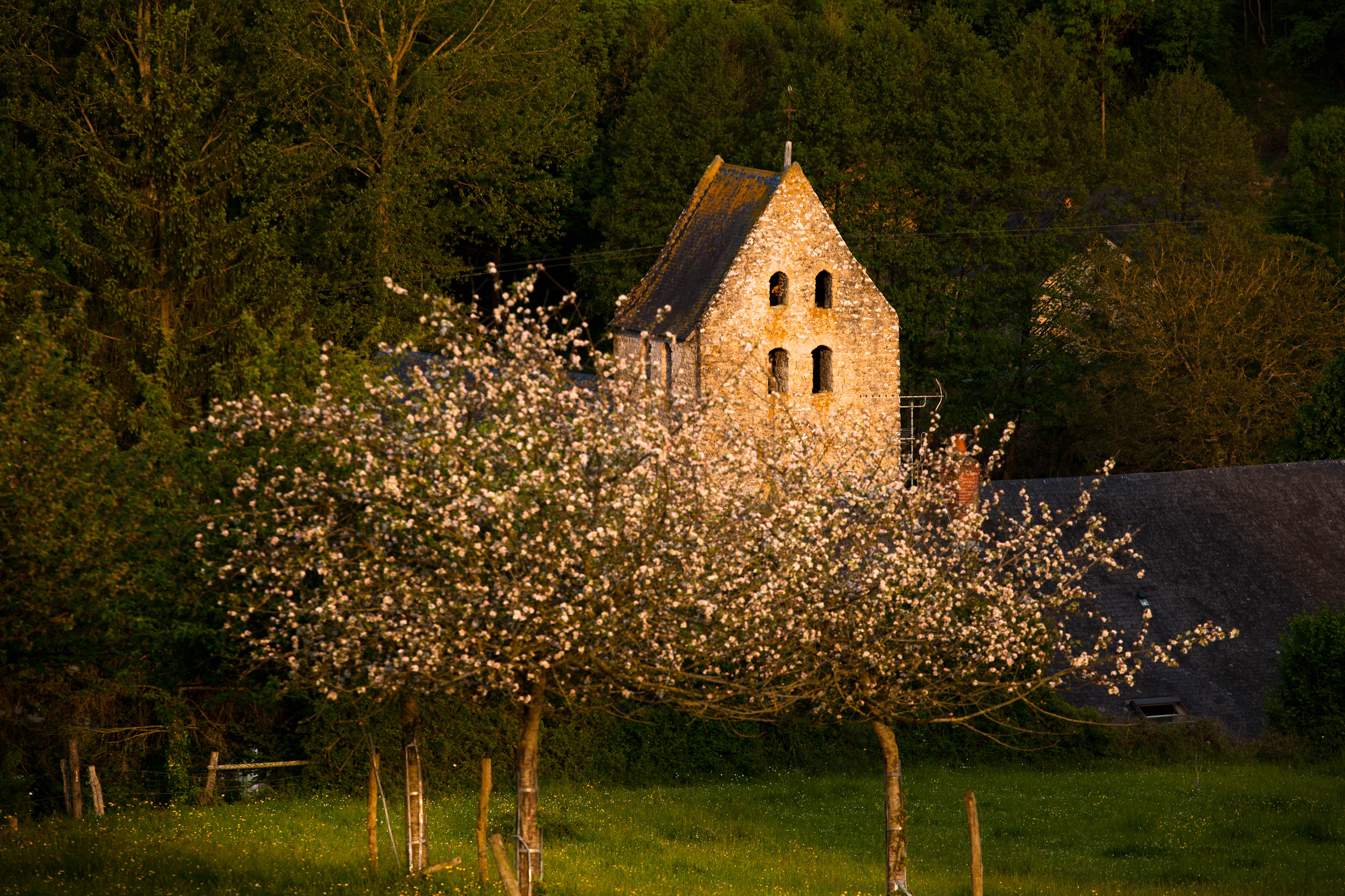 Vue de l'église depuis la coline Saint-Sylvain